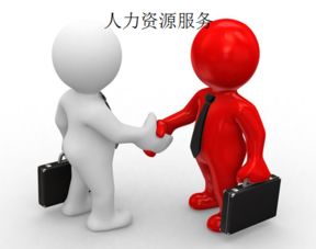 上海人力資源服務(wù)許可證辦理全攻略 手把手教你搞定人力資源服務(wù)資質(zhì)